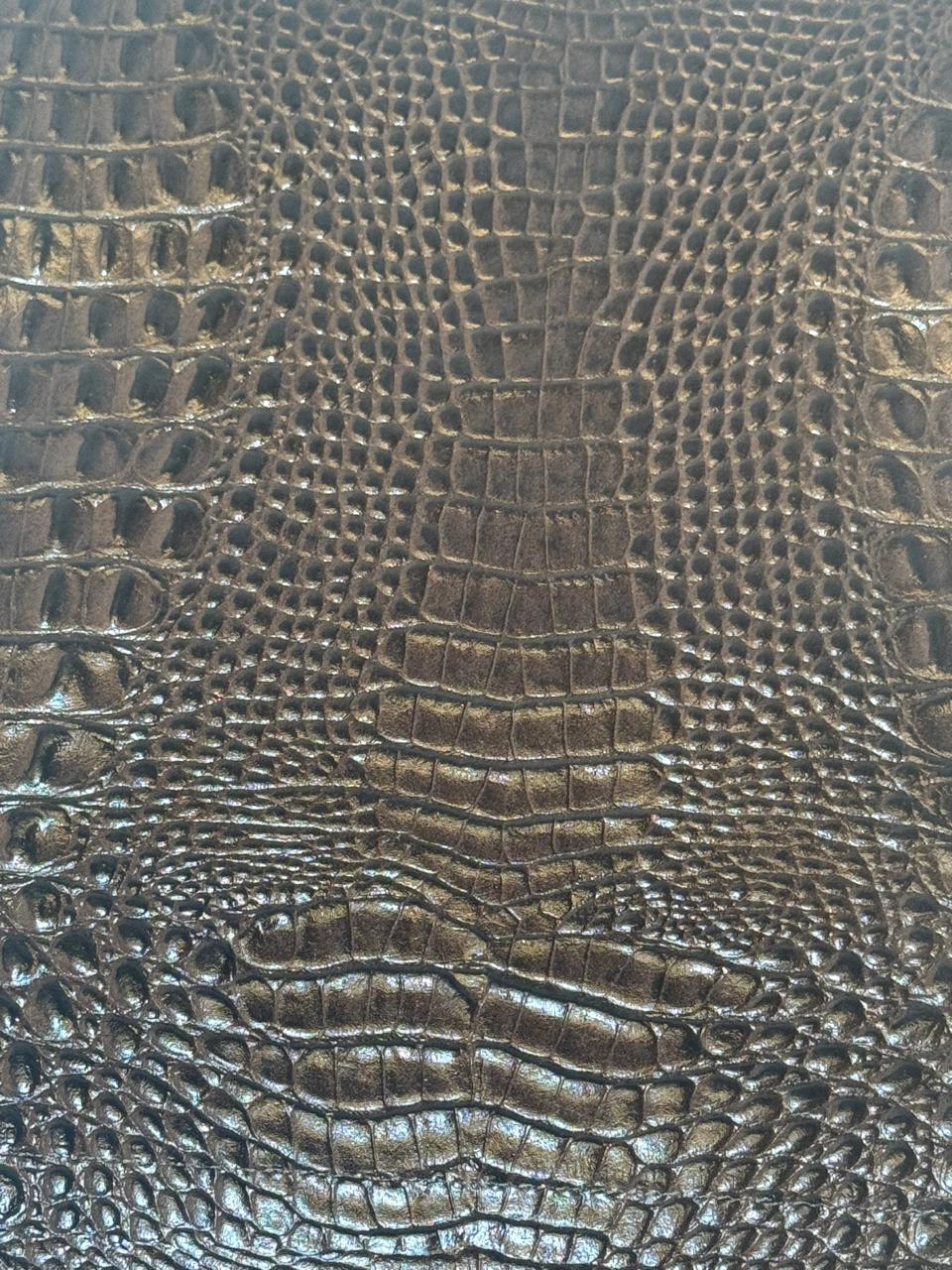 Lagarto Marrom